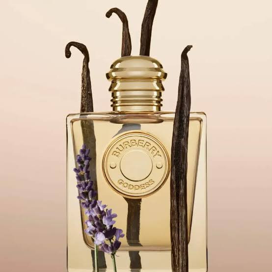 عطر باربری گادس گلد