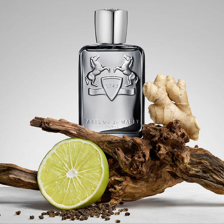 عطر پارفومز د مارلی کستلی